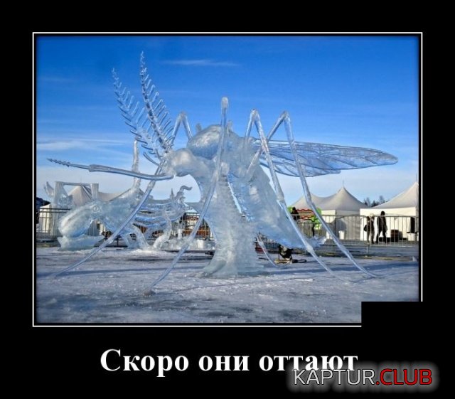 2981.jpg | Рено Каптур Клуб Россия | Форум KAPTUR.SU