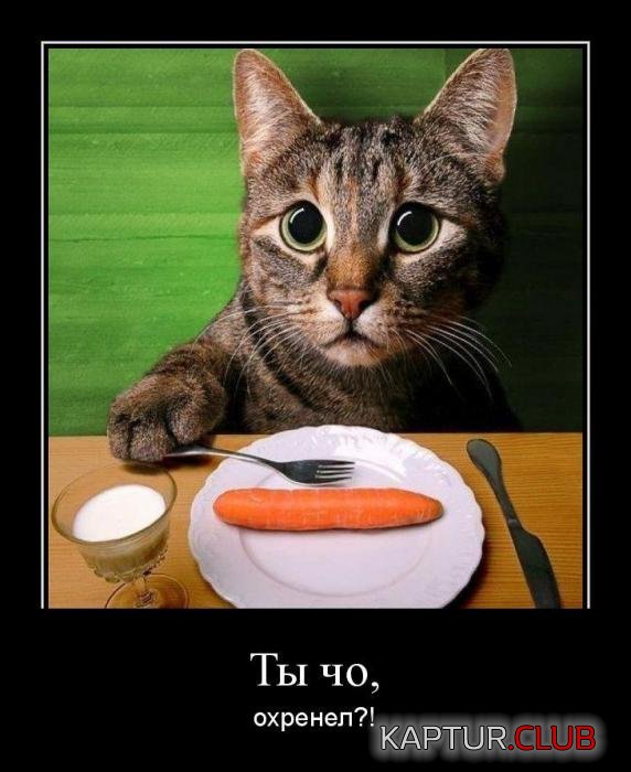 29bf03ad09e90d819e44fddfc71_prev.jpg | Рено Каптур Клуб Россия | Форум KAPTUR.SU