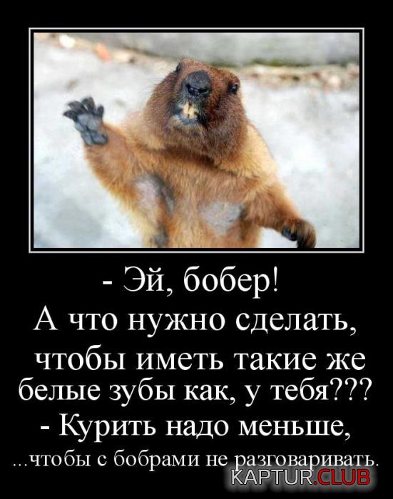 29dff87237ecb0897b272277689_prev.jpg | Рено Каптур Клуб Россия | Форум KAPTUR.SU