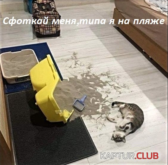 29e062f3eb3aaf5f9d3c22b27cc.jpg | Рено Каптур Клуб Россия | Форум KAPTUR.SU
