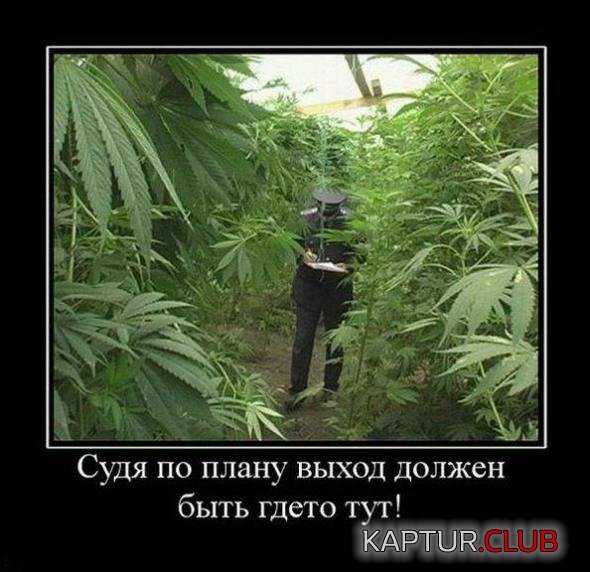 2a645a29e94e75fb485cda22b04_prev.jpg | Рено Каптур Клуб Россия | Форум KAPTUR.SU
