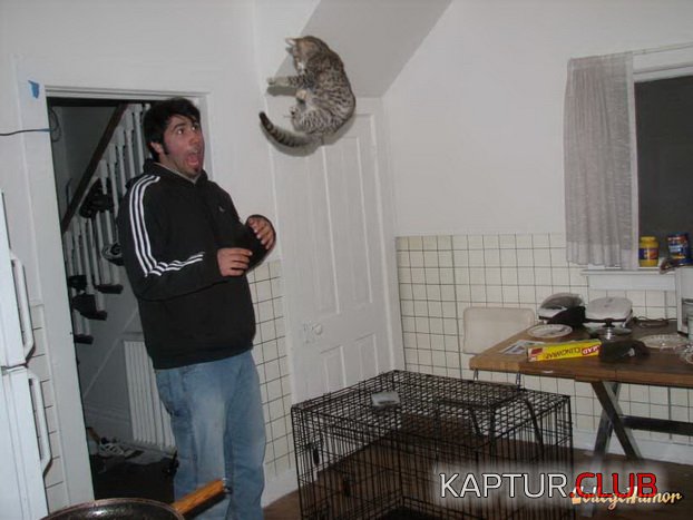 2a79cc0481ffde401bddddab05bdda9e_full.jpg | Рено Каптур Клуб Россия | Форум KAPTUR.SU