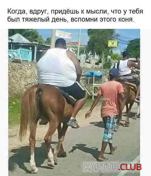 2ad7f8bbdab7af324bbe781fd85.jpg | Рено Каптур Клуб Россия | Форум KAPTUR.SU