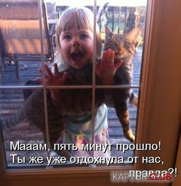 2b1f14fa8b25f57a14b8ed501e4.jpg | Рено Каптур Клуб Россия | Форум KAPTUR.SU