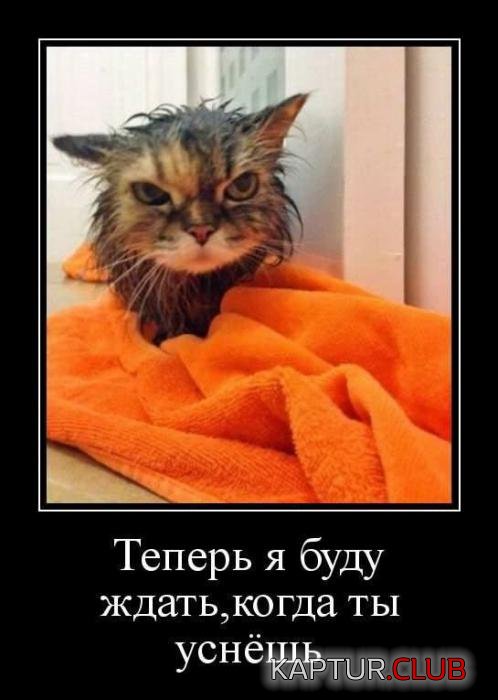 2b444d736f24e589670c3bc020b_prev.jpg | Рено Каптур Клуб Россия | Форум KAPTUR.SU