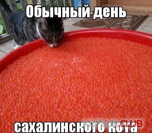 2b64109b280173007a6187c242b.jpg | Рено Каптур Клуб Россия | Форум KAPTUR.SU