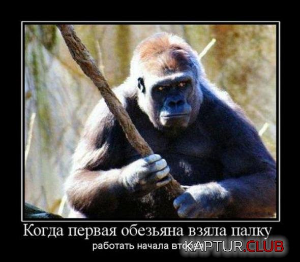 2baec269185997d617d7f5afa7b_prev.jpg | Рено Каптур Клуб Россия | Форум KAPTUR.SU