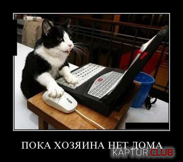 2bc45d46583dd126e1a5993867a_prev.jpg | Рено Каптур Клуб Россия | Форум KAPTUR.SU
