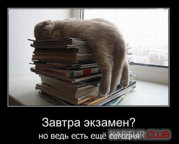 2bc971613b711e014d4dff8527c_prev.jpg | Рено Каптур Клуб Россия | Форум KAPTUR.SU