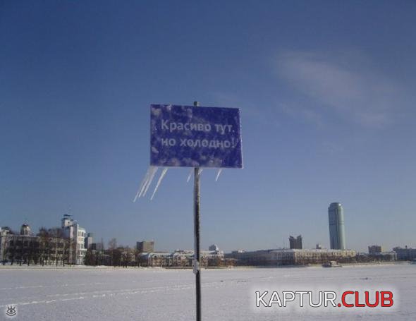 2c39a0f033c4242a861b4edf68c_prev.jpg | Рено Каптур Клуб Россия | Форум KAPTUR.SU