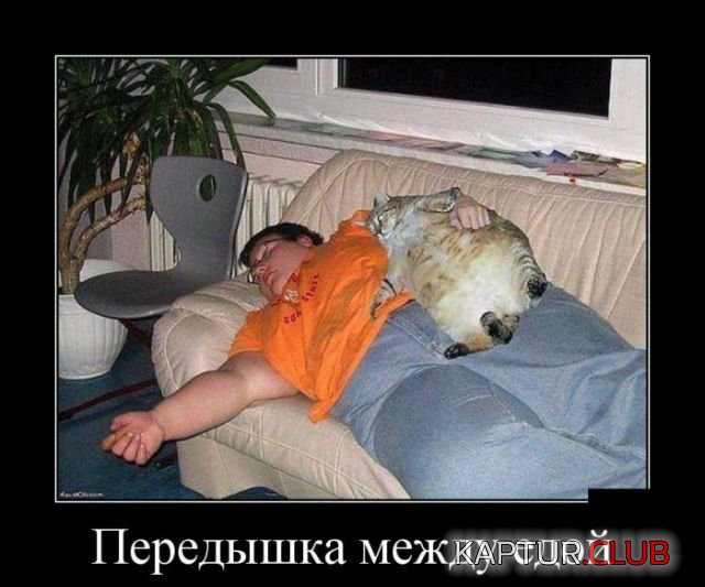 2d9e44c1f20159499ab3321c5f1.jpg | Рено Каптур Клуб Россия | Форум KAPTUR.SU