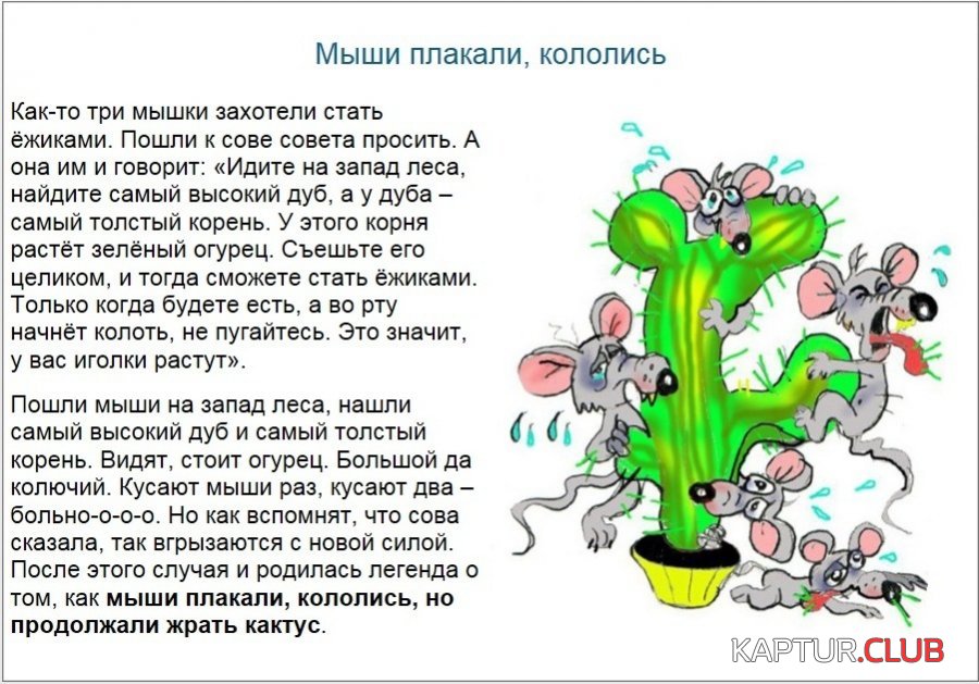 2daebf4aec2b.jpg | Рено Каптур Клуб Россия | Форум KAPTUR.SU