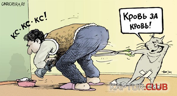 2e1b7a49515ec8eb8d8a178d18a79867_full.jpg | Рено Каптур Клуб Россия | Форум KAPTUR.SU