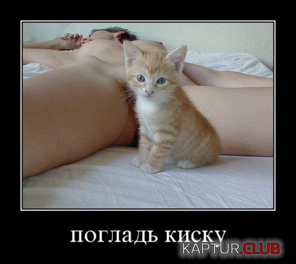 2e3b57c256c9eea41db00a8a8ab_prev.jpg | Рено Каптур Клуб Россия | Форум KAPTUR.SU