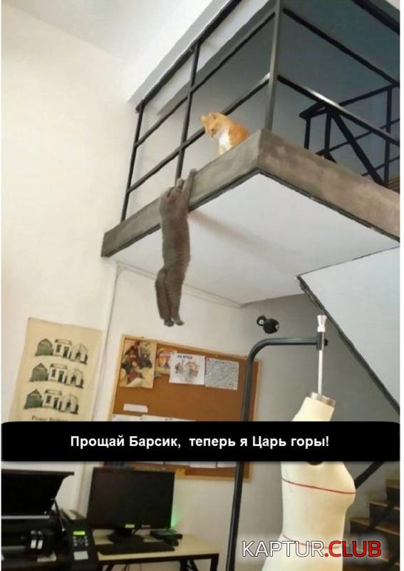 2e8ab3547a0631a0b77913969b7_prev.jpg | Рено Каптур Клуб Россия | Форум KAPTUR.SU