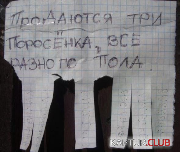 2e9c8d0916e5b3871a3e5a5e54d_prev.jpg | Рено Каптур Клуб Россия | Форум KAPTUR.SU
