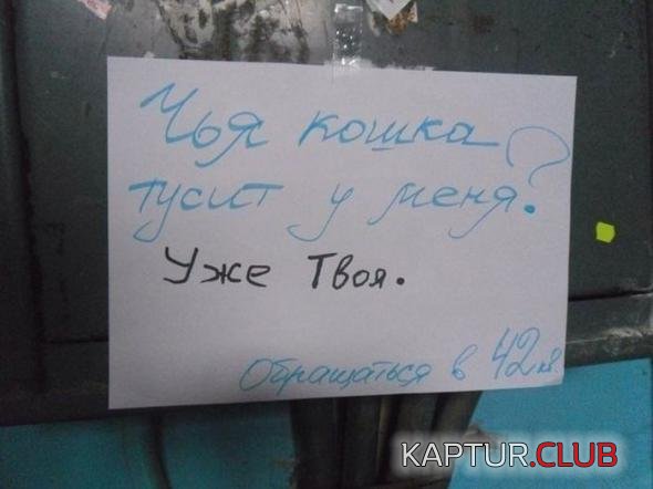 2fb1a0defc5756ed99ad1c07e66_prev.jpg | Рено Каптур Клуб Россия | Форум KAPTUR.SU