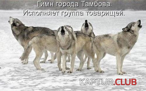 2fd4a119ad83ad0201d17d21940.jpg | Рено Каптур Клуб Россия | Форум KAPTUR.SU