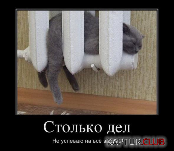 2ff776ca23fb0edbfcb969c40b5_prev.jpg | Рено Каптур Клуб Россия | Форум KAPTUR.SU