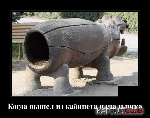 3.jpg | Рено Каптур Клуб Россия | Форум KAPTUR.SU