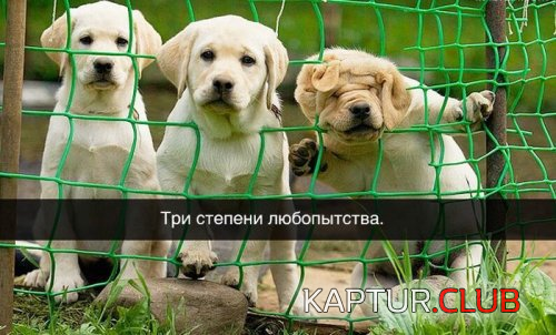 3.png | Рено Каптур Клуб Россия | Форум KAPTUR.SU