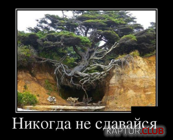 3.png | Рено Каптур Клуб Россия | Форум KAPTUR.SU