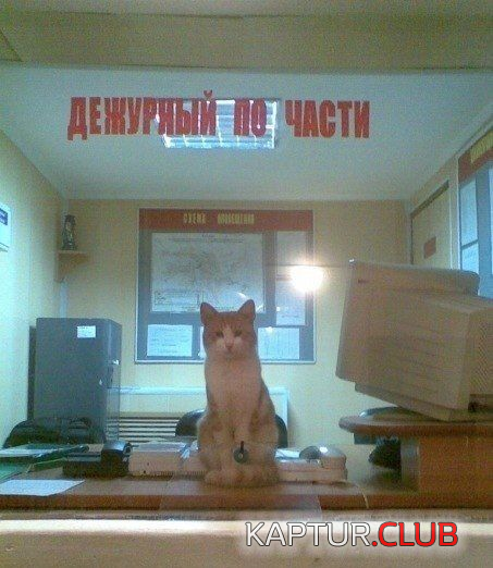 3.png | Рено Каптур Клуб Россия | Форум KAPTUR.SU