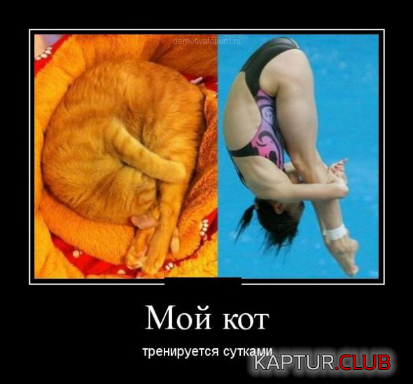 3.png | Рено Каптур Клуб Россия | Форум KAPTUR.SU