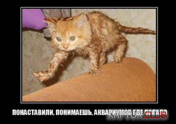 3.png | Рено Каптур Клуб Россия | Форум KAPTUR.SU