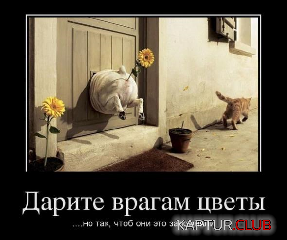 3.png | Рено Каптур Клуб Россия | Форум KAPTUR.SU