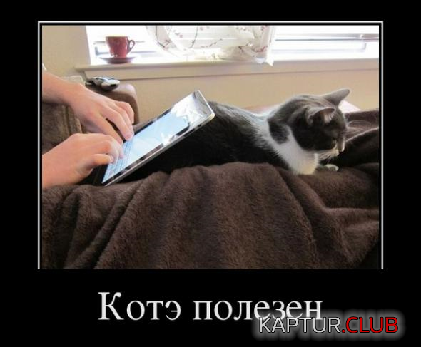 3.png | Рено Каптур Клуб Россия | Форум KAPTUR.SU
