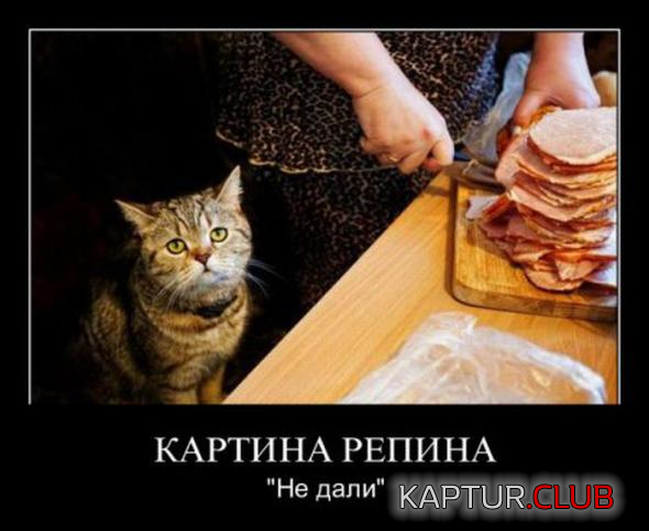 3.png | Рено Каптур Клуб Россия | Форум KAPTUR.SU