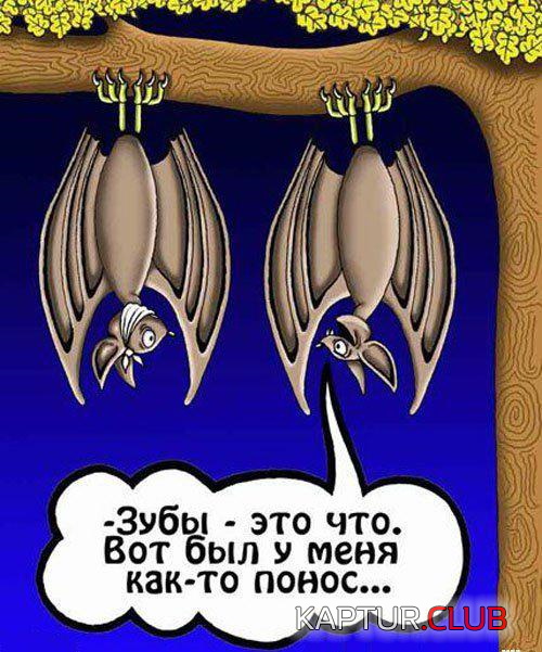 3.png | Рено Каптур Клуб Россия | Форум KAPTUR.SU
