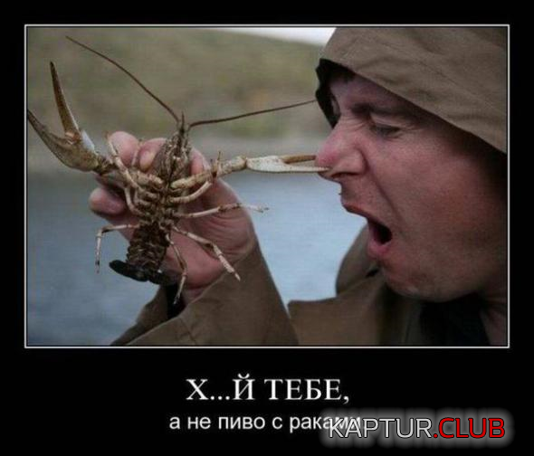 3.png | Рено Каптур Клуб Россия | Форум KAPTUR.SU