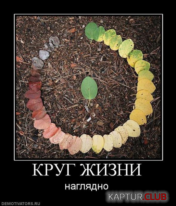 3.png | Рено Каптур Клуб Россия | Форум KAPTUR.SU