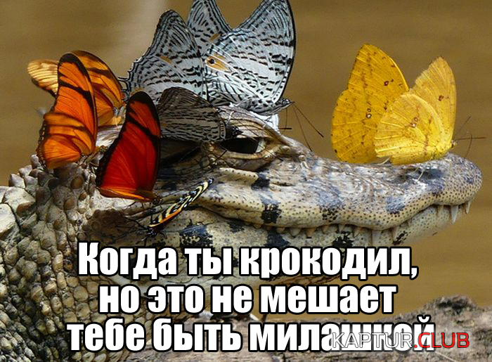 3.png | Рено Каптур Клуб Россия | Форум KAPTUR.SU