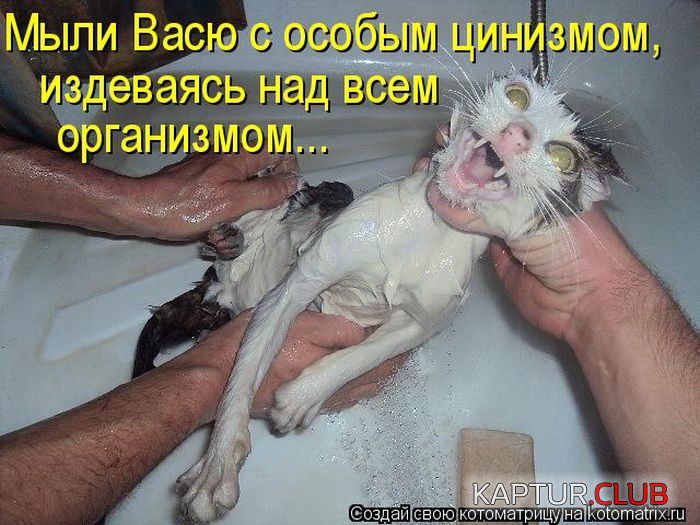 3.png | Рено Каптур Клуб Россия | Форум KAPTUR.SU