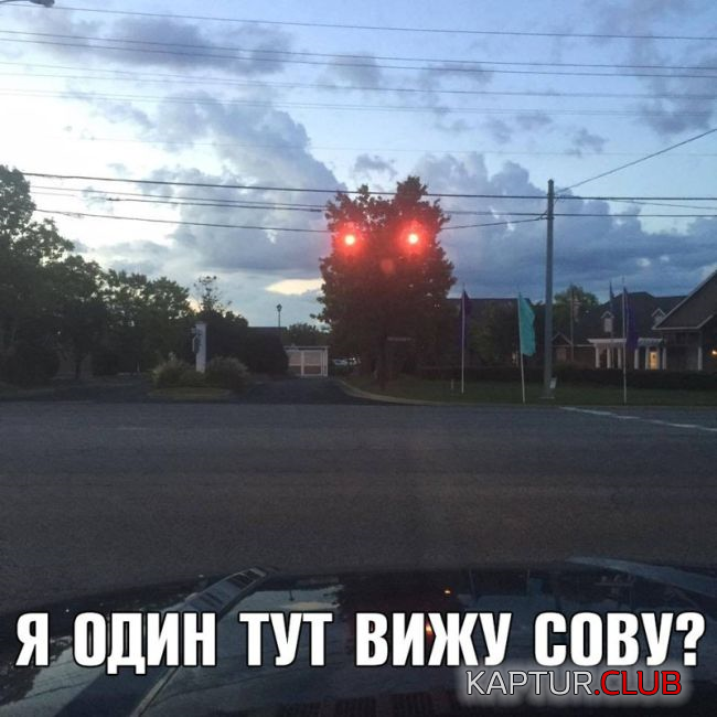 3.png | Рено Каптур Клуб Россия | Форум KAPTUR.SU