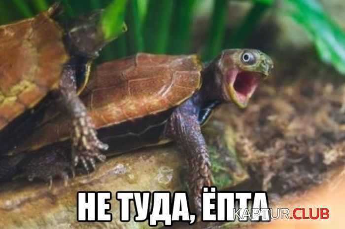 3.png | Рено Каптур Клуб Россия | Форум KAPTUR.SU