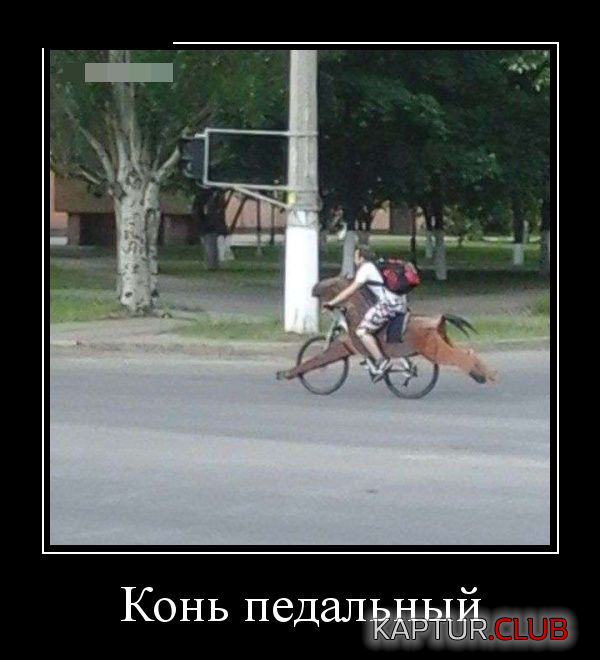 3.png | Рено Каптур Клуб Россия | Форум KAPTUR.SU