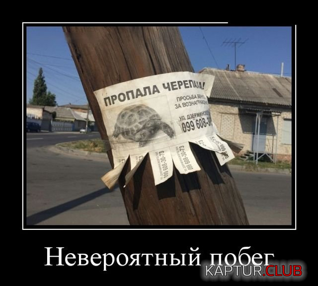 3.png | Рено Каптур Клуб Россия | Форум KAPTUR.SU