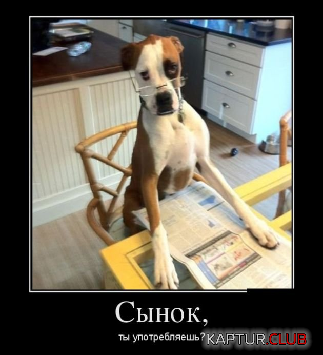 3.png | Рено Каптур Клуб Россия | Форум KAPTUR.SU