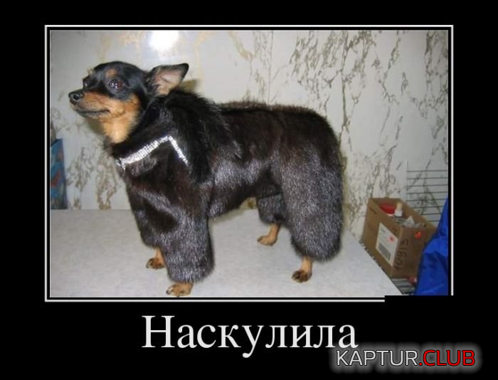 3.png | Рено Каптур Клуб Россия | Форум KAPTUR.SU