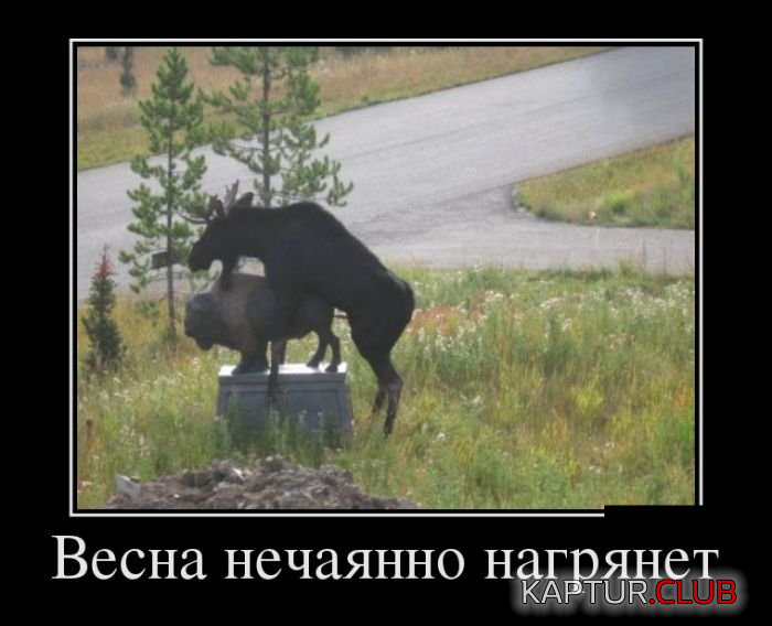 3.png | Рено Каптур Клуб Россия | Форум KAPTUR.SU