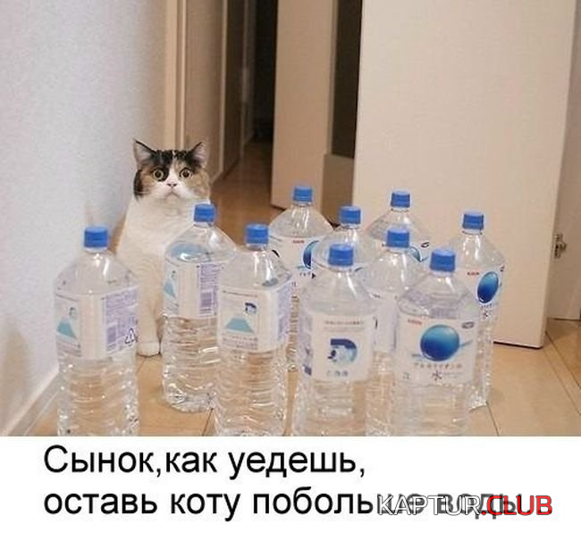 3.png | Рено Каптур Клуб Россия | Форум KAPTUR.SU