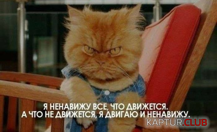 3.png | Рено Каптур Клуб Россия | Форум KAPTUR.SU