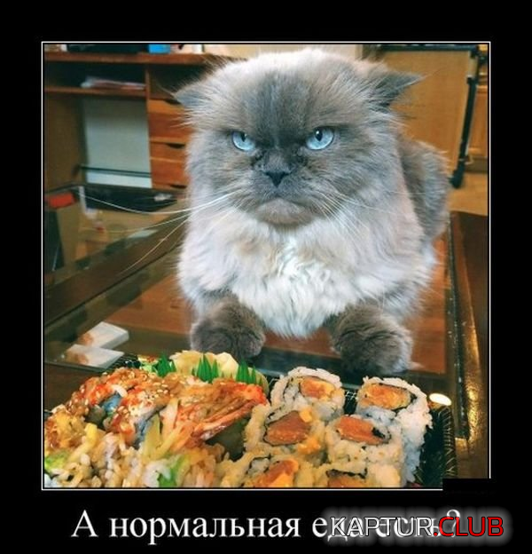 3.png | Рено Каптур Клуб Россия | Форум KAPTUR.SU