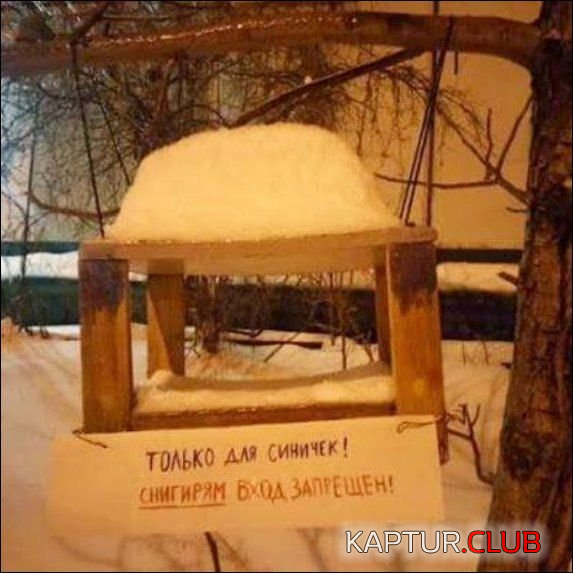 3.png | Рено Каптур Клуб Россия | Форум KAPTUR.SU
