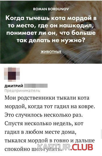 3.png | Рено Каптур Клуб Россия | Форум KAPTUR.SU