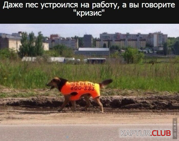 3.png | Рено Каптур Клуб Россия | Форум KAPTUR.SU